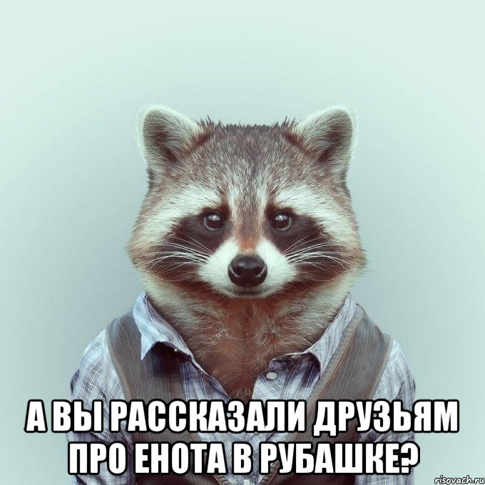  а вы рассказали друзьям про енота в рубашке?, Мем  Енот в рубашке