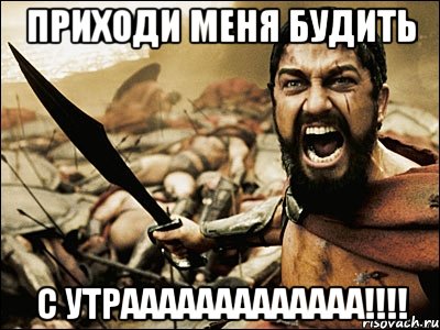 приходи меня будить с утрааааааааааааа!!!, Мем Это Спарта