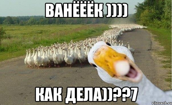 ванёёёк )))) как дела))??7