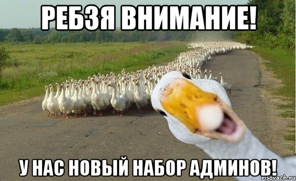 ребзя внимание! у нас новый набор админов!