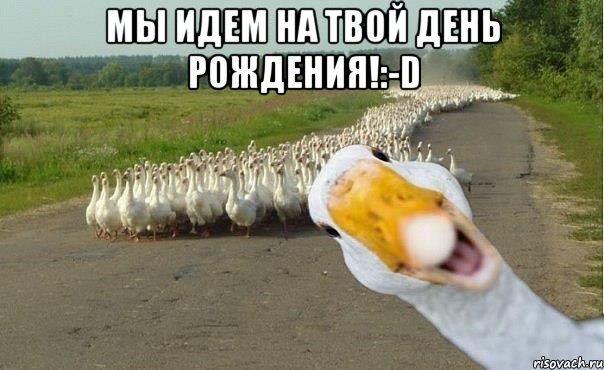 мы идем на твой день рождения!:-d , Мем гуси