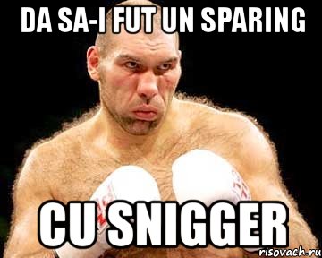 da sa-i fut un sparing cu snigger