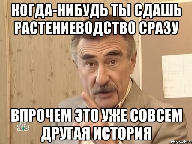 когда-нибудь ты сдашь растениеводство сразу впрочем это уже совсем другая история, Мем Каневский (Но это уже совсем другая история)