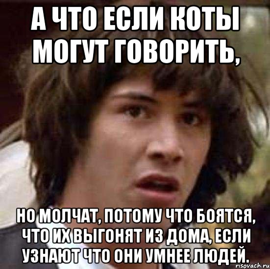 а что если коты могут говорить, но молчат, потому что боятся, что их выгонят из дома, если узнают что они умнее людей., Мем А что если (Киану Ривз)