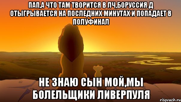 пап,а что там творится в лч,боруссия д отыгрывается на последних минутах и попадает в полуфинал не знаю сын мой,мы болельщики ливерпуля, Мем  король лев