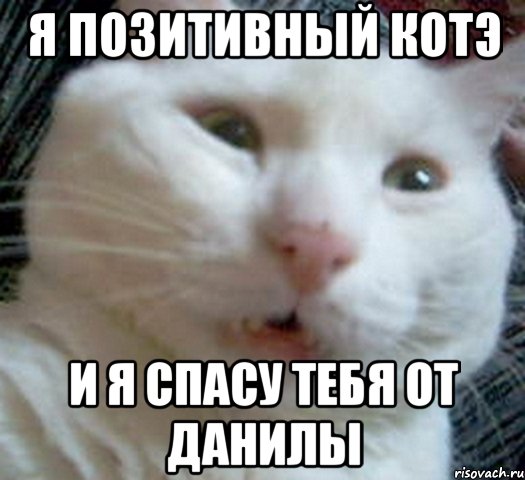 я позитивный котэ и я спасу тебя от данилы