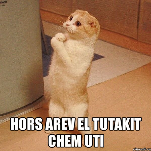  hors arev el tutakit chem uti, Мем  котэ молится