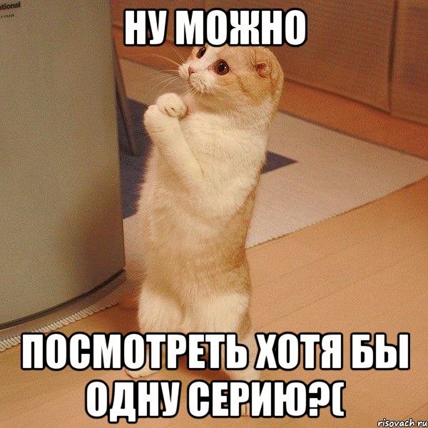 ну можно посмотреть хотя бы одну серию?(, Мем  котэ молится