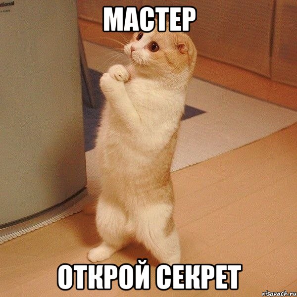 мастер открой секрет, Мем  котэ молится