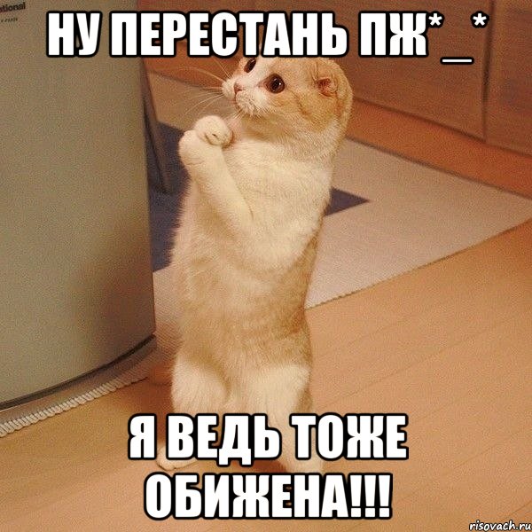 ну перестань пж*_* я ведь тоже обижена!!!, Мем  котэ молится