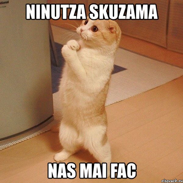 nınutza skuzama nas maı fac, Мем  котэ молится