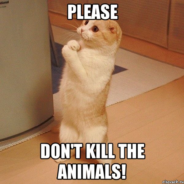 please don't kill the animals!, Мем  котэ молится