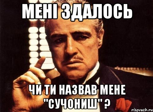 мені здалось чи ти назвав мене "сучониш" ?, Мем крестный отец