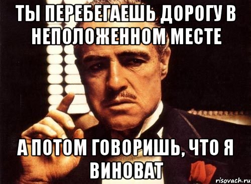 ты перебегаешь дорогу в неположенном месте а потом говоришь, что я виноват, Мем крестный отец