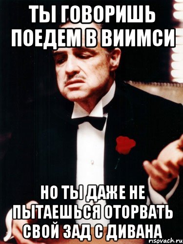 Скажи едем. Подними свою задницу с дивана. Оторвите задницу от дивана. .Жопу не оторвать. Фото невозможно оторвать зад от дивана.