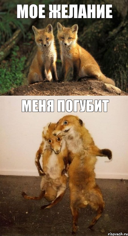 мое желание меня погубит