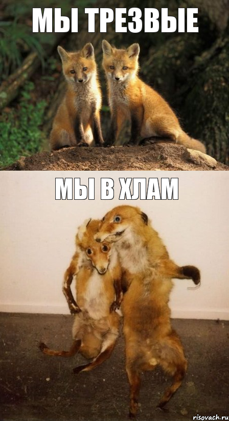 мы трезвые мы в хлам