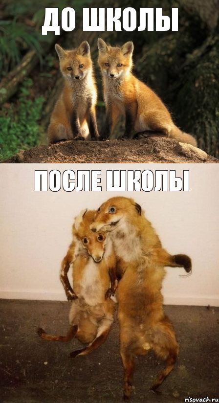 До школы После школы