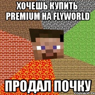 хочешь купить premium на flyworld продал почку, Мем Миникрафтер