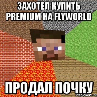 захотел купить premium на flyworld продал почку