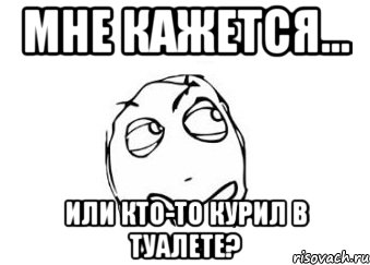 мне кажется... или кто-то курил в туалете?, Мем Мне кажется или