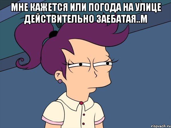 мне кажется или погода на улице действительно заебатая..м , Мем Мне кажется или (с Лилой)