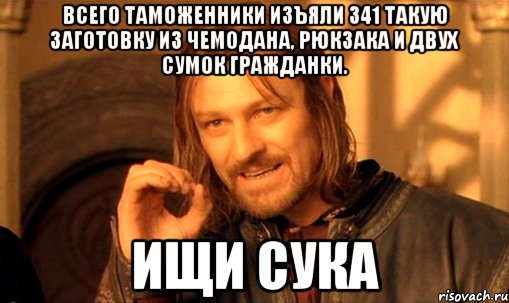 всего таможенники изъяли 341 такую заготовку из чемодана, рюкзака и двух сумок гражданки. ищи сука, Мем Нельзя просто так взять и (Боромир мем)