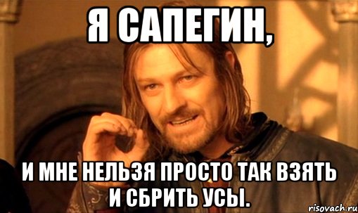 я сапегин, и мне нельзя просто так взять и сбрить усы., Мем Нельзя просто так взять и (Боромир мем)