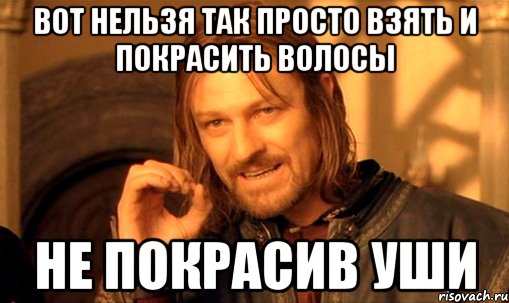 вот нельзя так просто взять и покрасить волосы не покрасив уши, Мем Нельзя просто так взять и (Боромир мем)