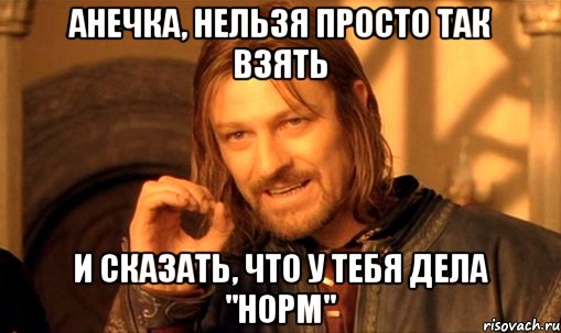 анечка, нельзя просто так взять и сказать, что у тебя дела "норм", Мем Нельзя просто так взять и (Боромир мем)