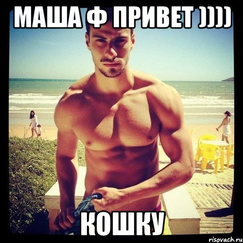 маша ф привет )))) кошку