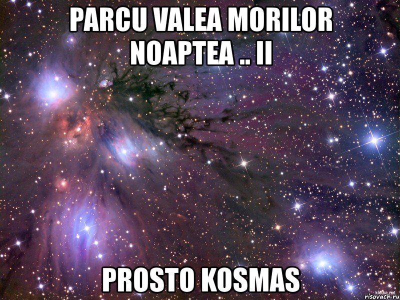 parcu valea morilor noaptea .. ii prosto kosmas, Мем Космос