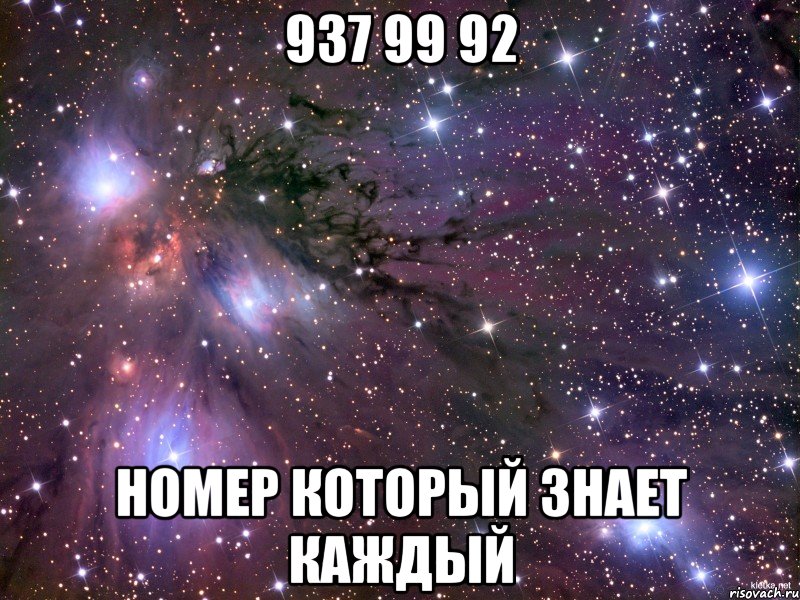 937 99 92 номер который знает каждый