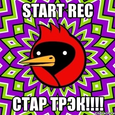 start rec стар трэк!!!, Мем Омская птица