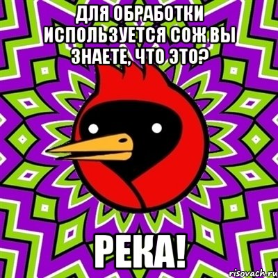 для обработки используется сож вы знаете, что это? река!, Мем Омская птица