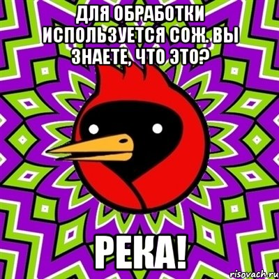 для обработки используется сож. вы знаете, что это? река!, Мем Омская птица