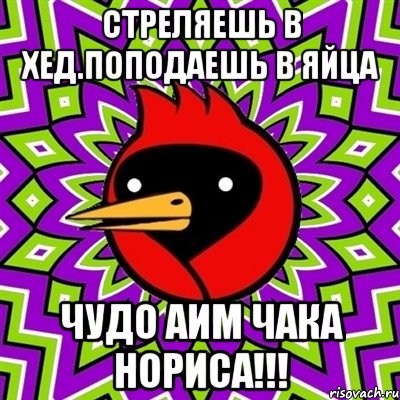 стреляешь в хед.поподаешь в яйца чудо аим чака нориса!!!, Мем Омская птица