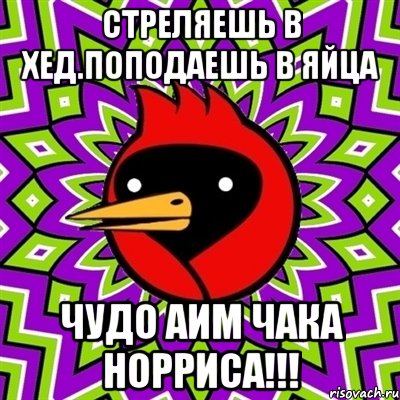 стреляешь в хед.поподаешь в яйца чудо аим чака норриса!!!, Мем Омская птица