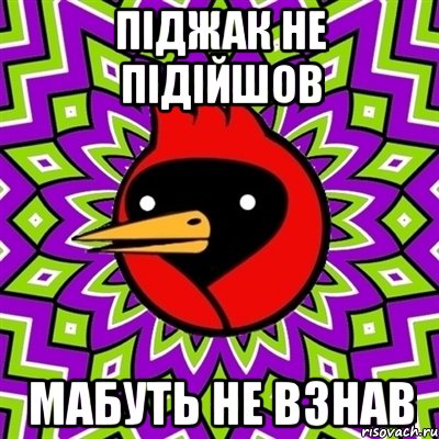 піджак не підійшов мабуть не взнав, Мем Омская птица