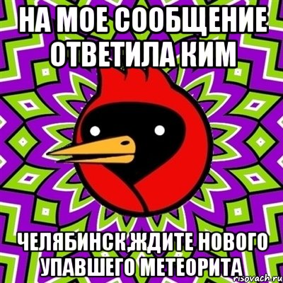 на мое сообщение ответила ким челябинск,ждите нового упавшего метеорита, Мем Омская птица