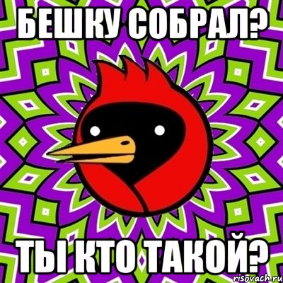 бешку собрал? ты кто такой?, Мем Омская птица