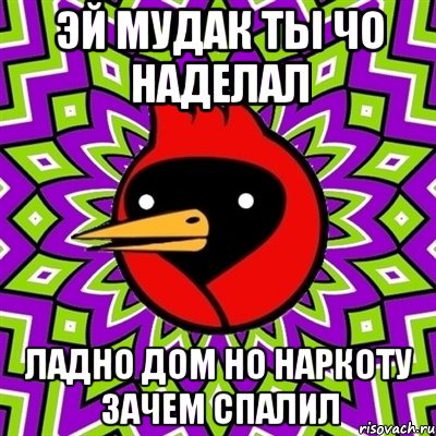 эй мудак ты чо наделал ладно дом но наркоту зачем спалил, Мем Омская птица