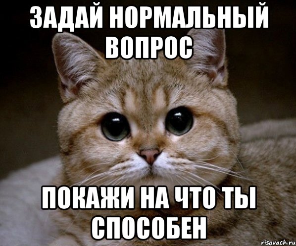 Пожалуйста задавай. Задай мне вопрос. Задай мне вопрос картинки. Задавай вопрос Мем. Задай мне вопрос Мем.