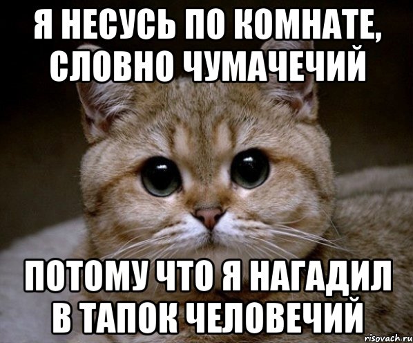 Я иду словно чумачечий. Я нагадил в тапок человечий. Я бегу по комнате словно чумачечий. Потому что я нагадил в тапок человечий. Я иду по комнате словно чумачечий.