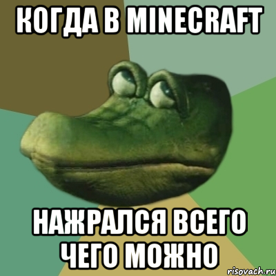 когда в minecraft нажрался всего чего можно