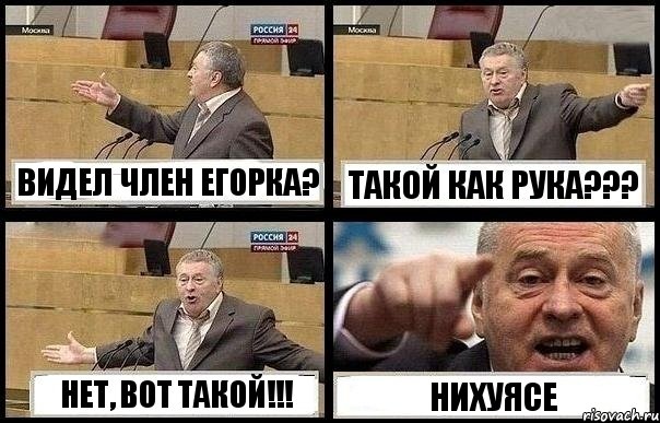 ВИДЕЛ ЧЛЕН ЕГОРКА? ТАКОЙ КАК РУКА??? НЕТ, ВОТ ТАКОЙ!!! НИХУЯСЕ, Комикс с Жириновским