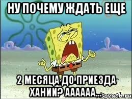 ну почему ждать еще 2 месяца до приезда хании? аааааа..., Мем Спанч Боб плачет