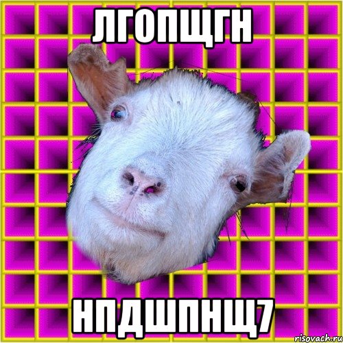 лгопщгн нпдшпнщ7, Мем типичная коза