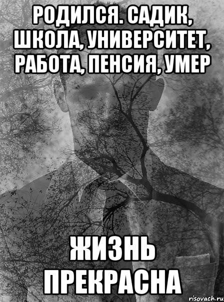 Работа родилась. Жизнь прекрасна Мем. Садик школа университет работа пенсия смерть. Мем школа универ работа. Школа университет работа пенсия.