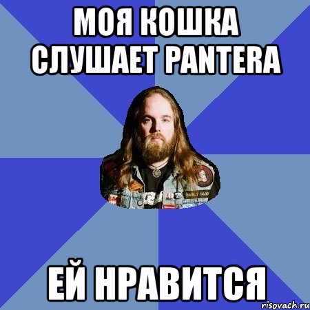 моя кошка слушает pantera ей нравится